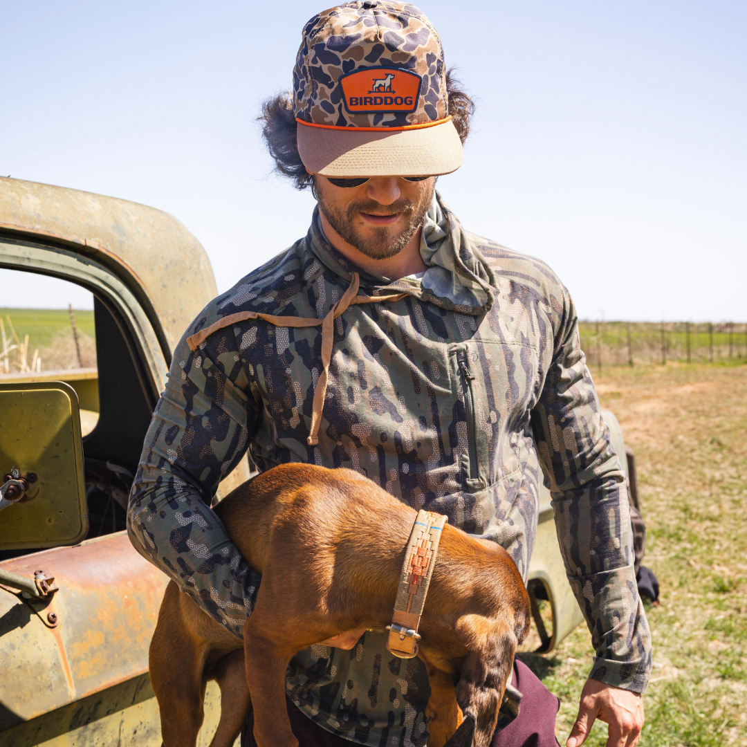 BirdDog X Zilker Bespoke Dog Collar